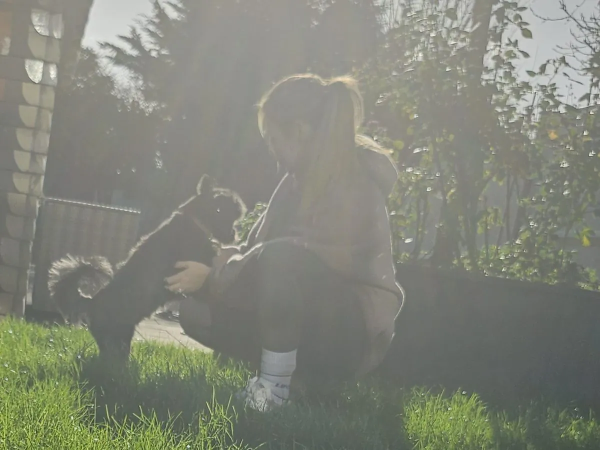 Lucy crouching in a sunny garden with her dog